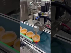 Macchine di riempimento automatiche di base di trucco SUS304 pompa di ingranaggi riscaldata