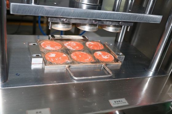 6 fori Cnc Stampi in alluminio per la forma di polvere umida 1 anno di garanzia