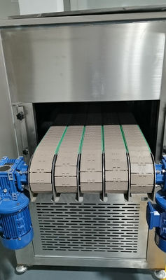 SUS304 La linea di produzione automatica su misura con cinque corsie di circolazione di galleria di congelamento
